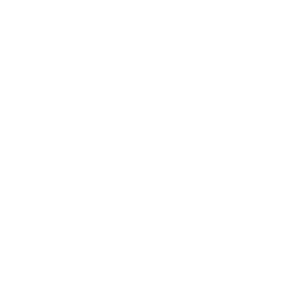 AutoPlaza 247